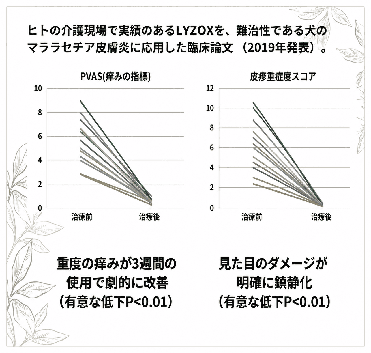 LYZOXの実証データ・臨床結果